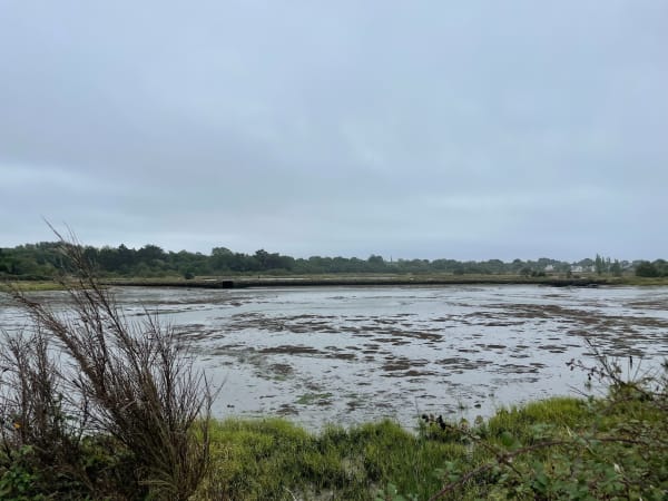 Les marais du Hézo - Le Hézo - 1