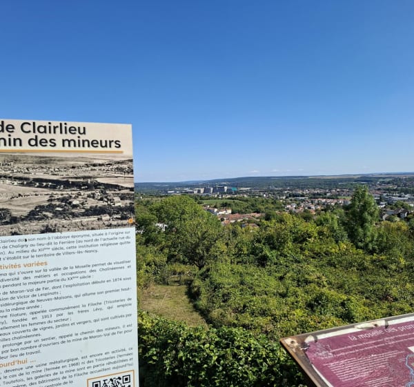 Pulligny vers la vierge de Chaligny - Edwige - 1