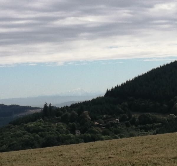 Sainte-Agathe-en-Donzy, objectif Tour Matagrin - Agnes - 1