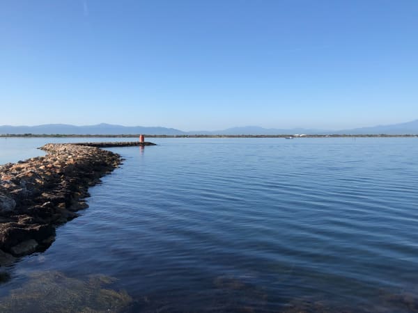 Le Barcarès, le port et l'Etang de Leucate à vélo - NATHALIE - 1