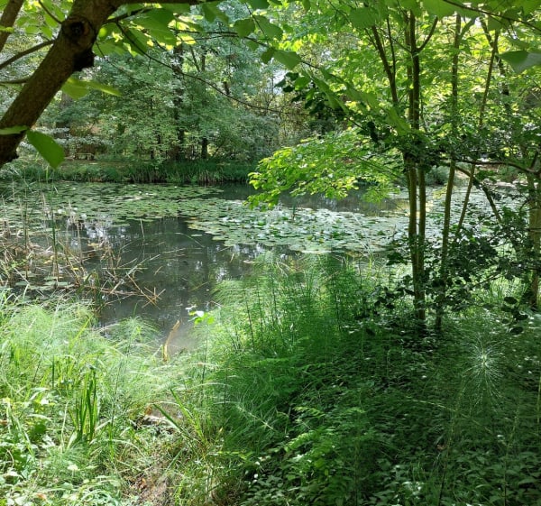 A travers les parcs du Bachais et du Bruchet à  Meylan - CATHERINE - 1