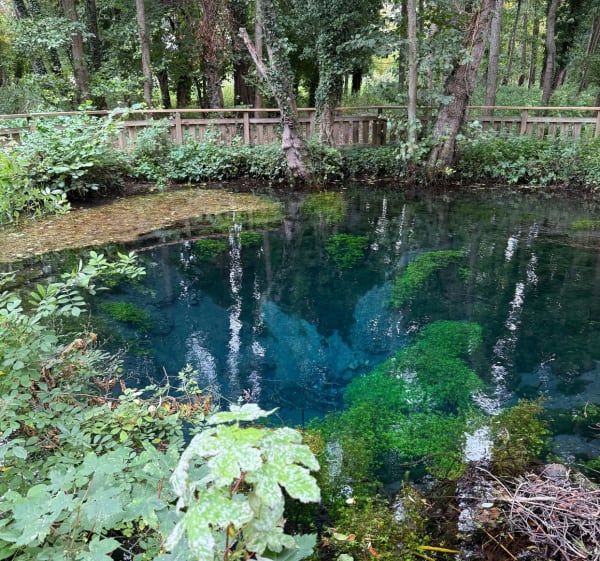Parc de la Bouvaque - therese - 1