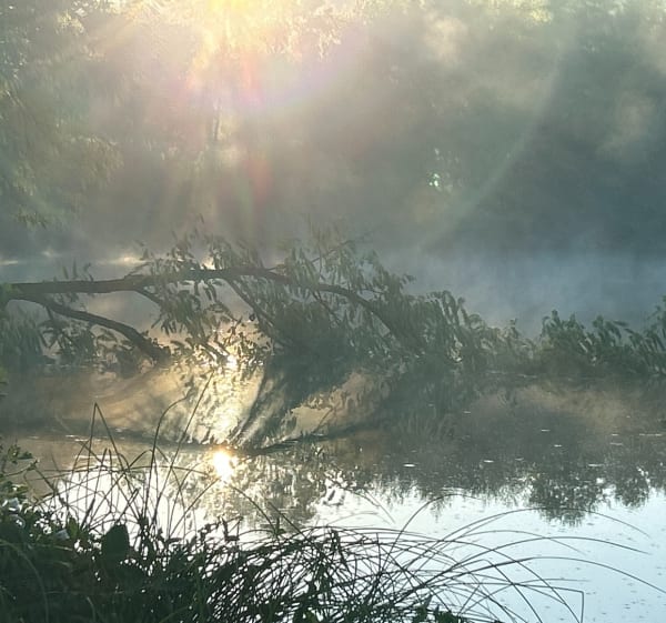 Promenade dans le Morvan, et moulin de Razou - carol - 1