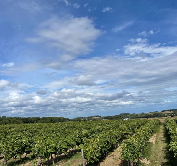 Balade VTT depuis Barbezieux - Ddény - 1