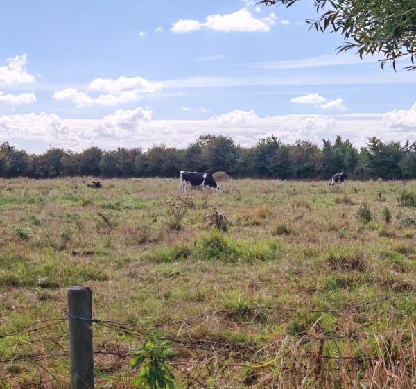 Sentier du pays de l'angle - coline - 1