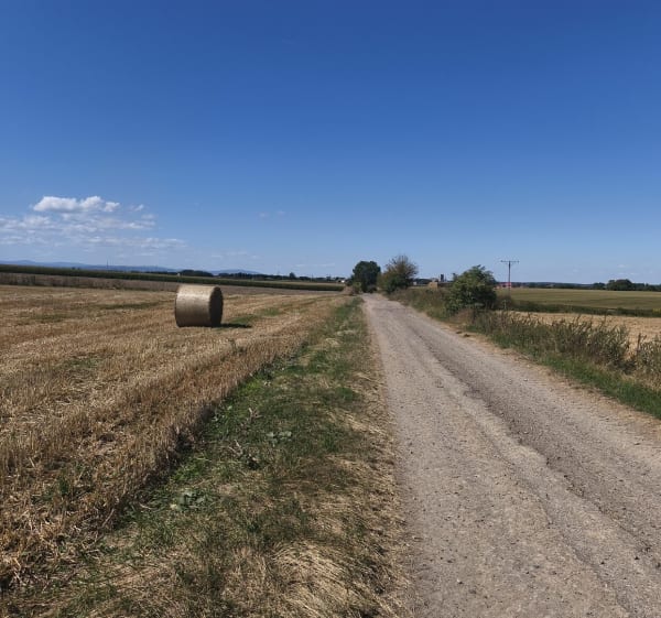 Fajna trasa - Kędzierzyn-Koźle - 1