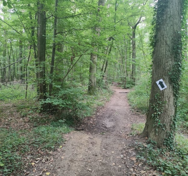 Autour d'Héry et Bois de la Justice - Alain - 1