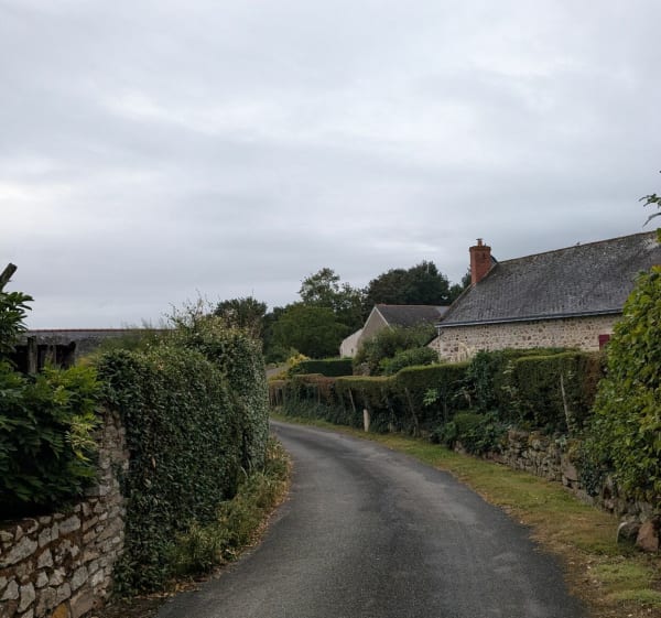 Tour entre Blaison et St Rémy la Varenne - Amelia - 1