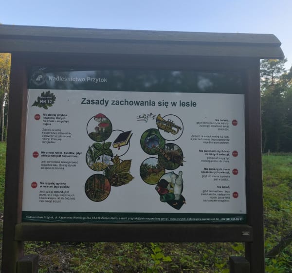 Obcowanie z naturą - Zielona Góra - 1