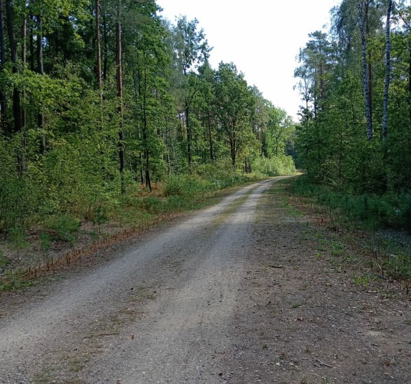 Trasa. mieszana - Białystok - 1