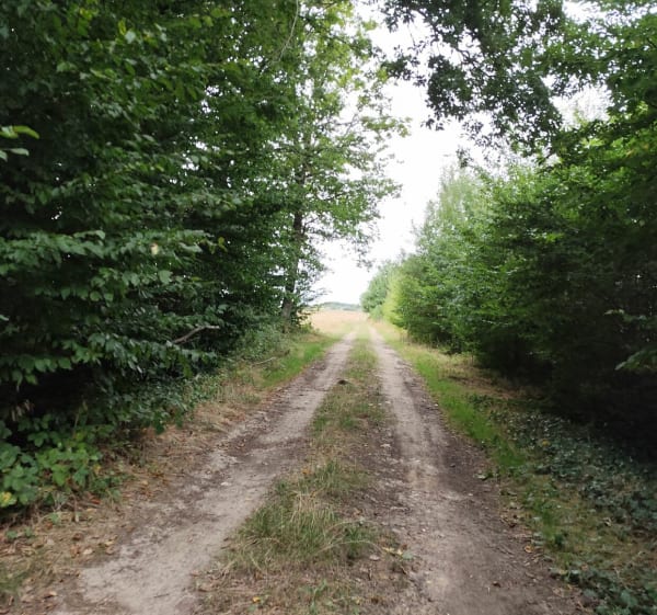Randonnée campagnarde au départ de Bonneval - jessica - 1