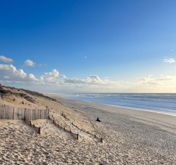 En forêt du Capbreton - Taous - 1
