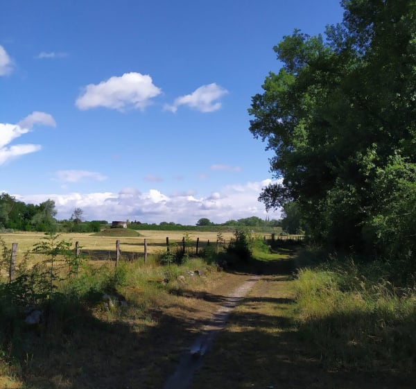 Balade sur le sentier des Castors via le pont de fer - Alexandre - 1