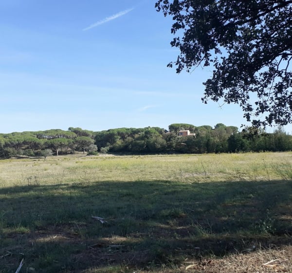 Petites routes de campagne autour de la bouverie - Frédéric - 1