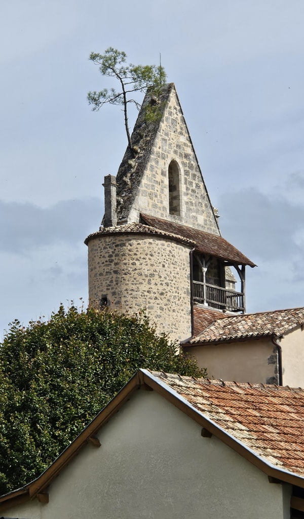Pompogne, le clocher et le pin - Pompogne - 1