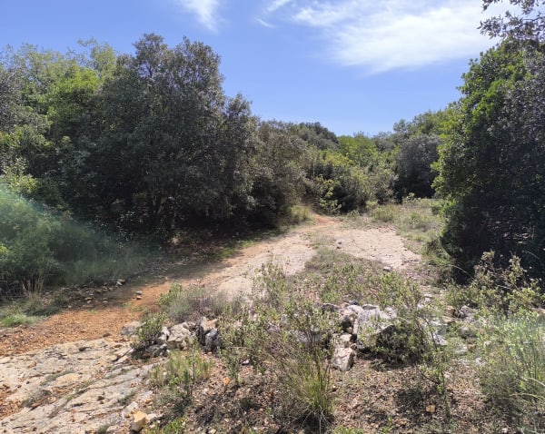 On Fons dans les bois pour une mise au vert - Sebastien - 1