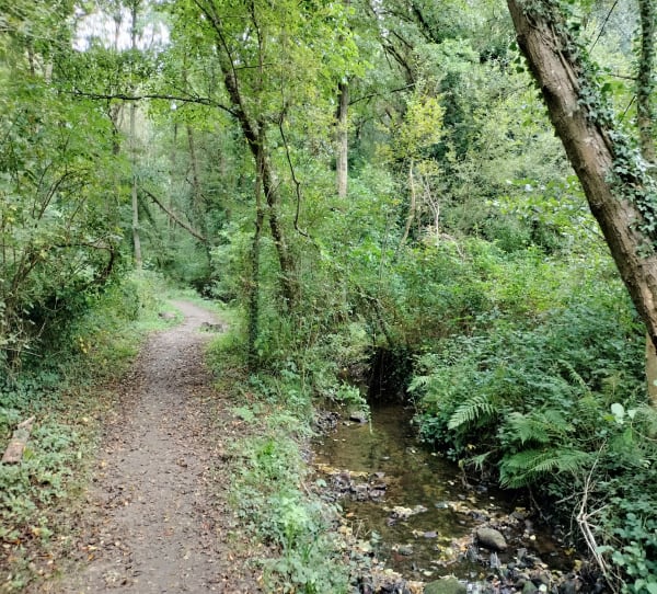 Promenade dans la vallée du Lude - Carolles - 1