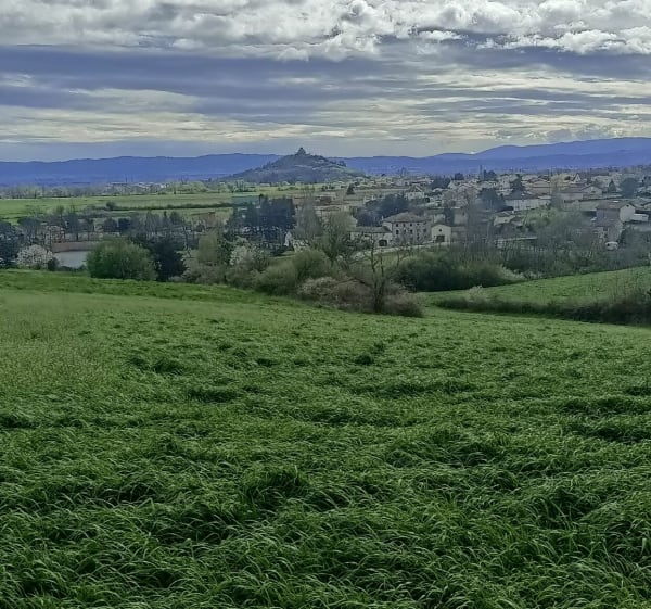 Marche à Saint-Georges-Haute-Ville - veronique - 1