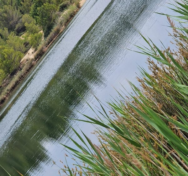 Balade du canal de Gruissan - Nade - 1