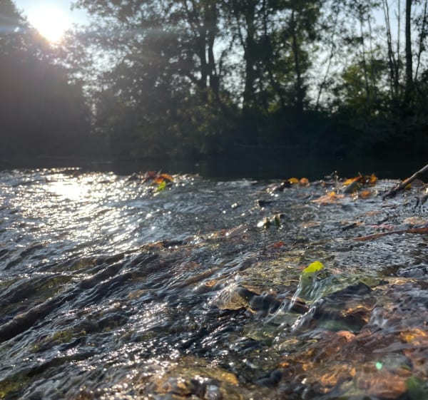 Haute-Saône et sortie vélo de route - Jimmy - 1