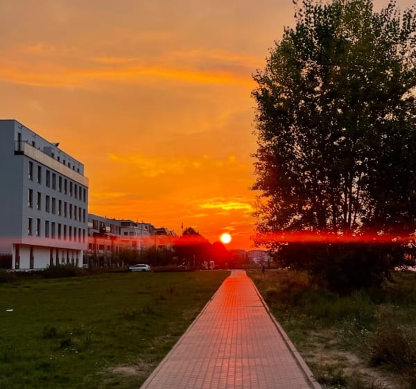 Wilanowski trójkąt spacerowy - Paulina - 1