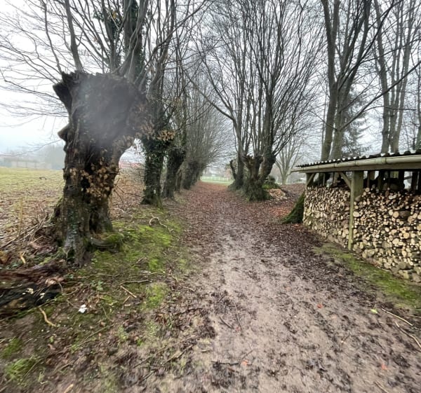 Chemins pédestres d’Humbercamps au départ de Saint Amand - Julien - 1