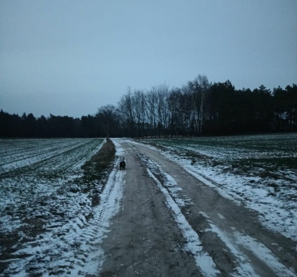 Trasa 2 Kaszew - Adrian - 1