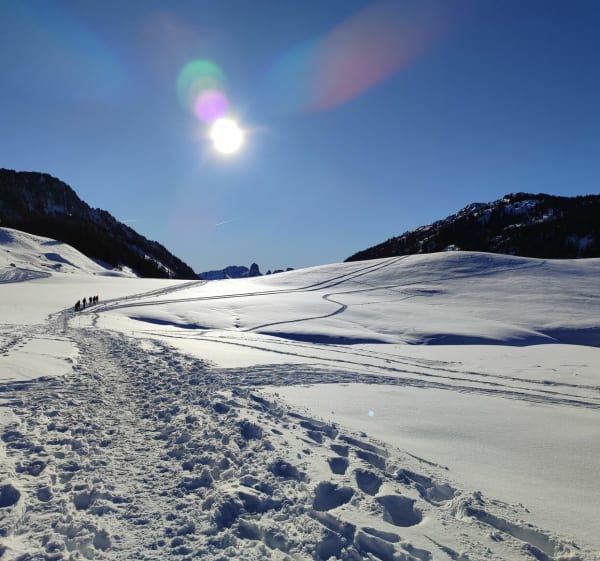 Plateau de Dran et N-D des Neiges - MARTINE - 1