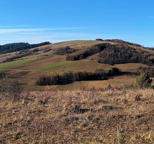 Spacer na Grzywacką Górę - Elwira - 1
