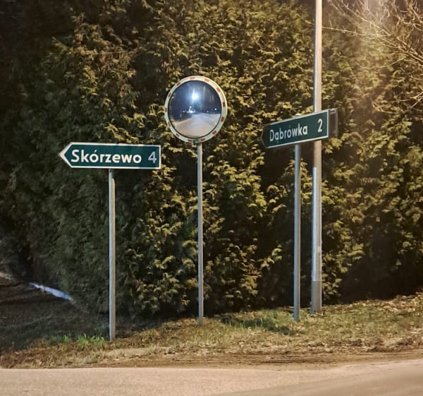 Dąbrowa dookoła - Norbik - 1