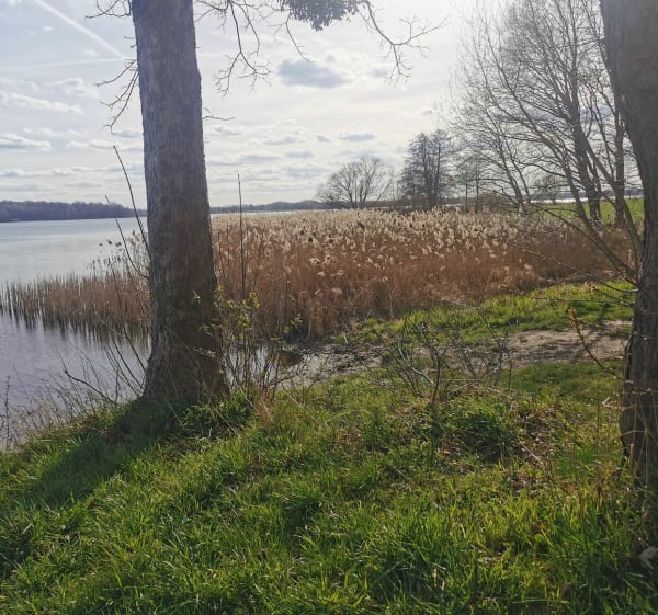 Tama łąka - Patrycja - 1