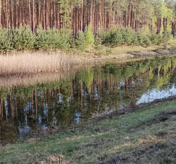 Trasa ekstremalnej drogi krzyżowej z Mielca do Cmolasu - Rafal - 1