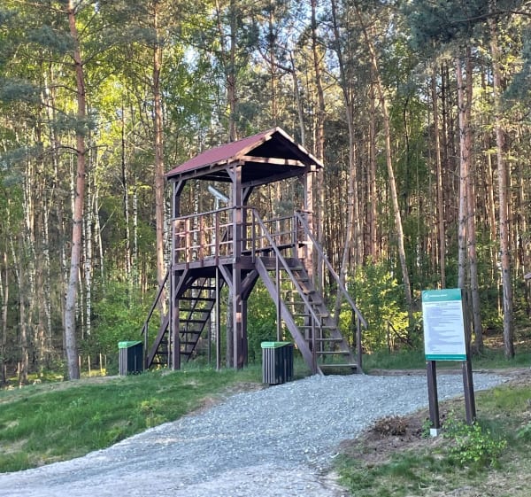 Dębnica - Ostrów Wlkp - Damian - 1