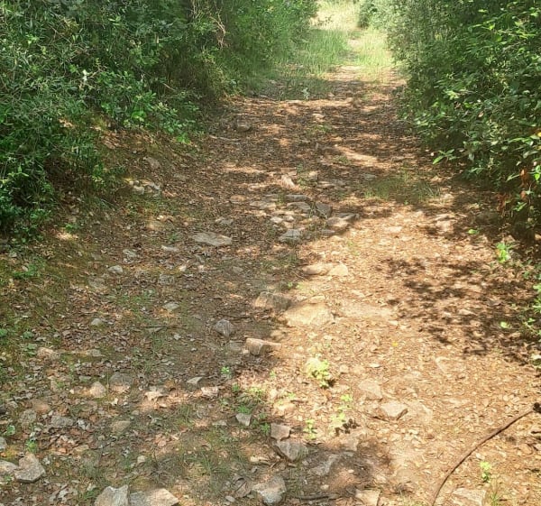 Boucle entre Gajan, Saint-Geniès, La Rouvière - Sandra - 1