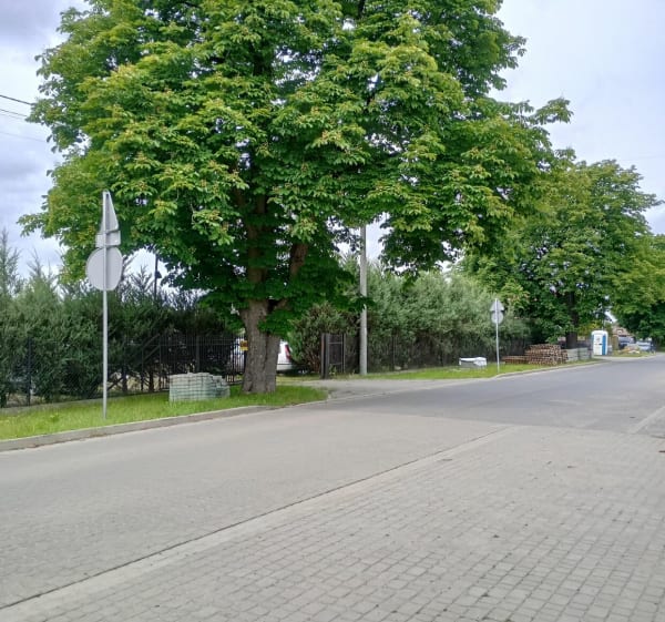 Pętelka z Kasztanowej - DARIUSZ - 1