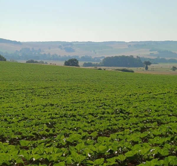 Vallée Auroue - Cédric - 1