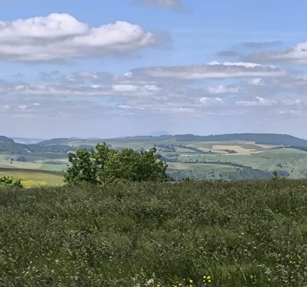 Petite balade - JEROME - 1