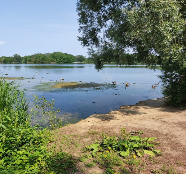 Belle balade en Bords de Seine - thierry - 1