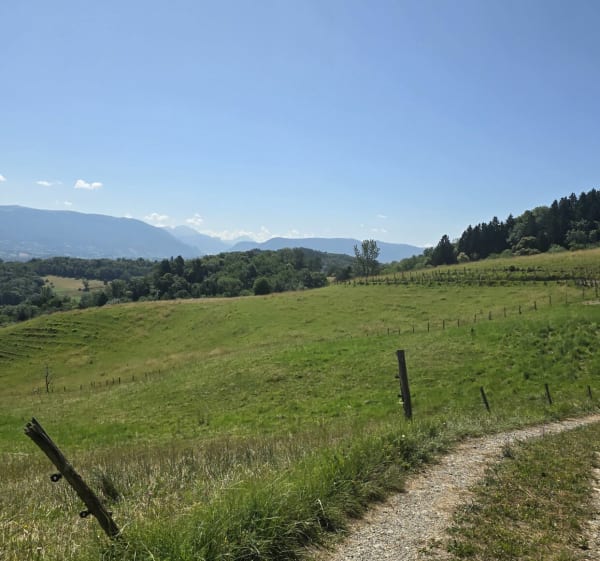 Serrière en Chautagne - Clergeon - Alexis - 1