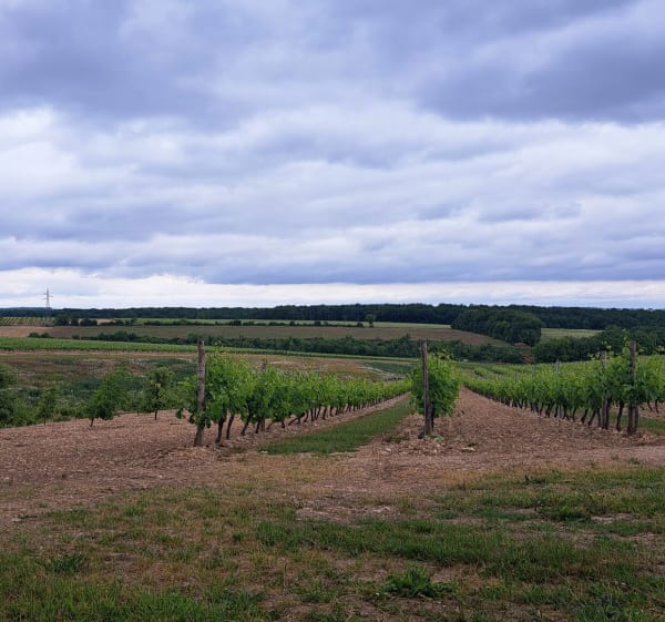 Balade autour de Saint-Amant-de-Nouère - Christelle - 1