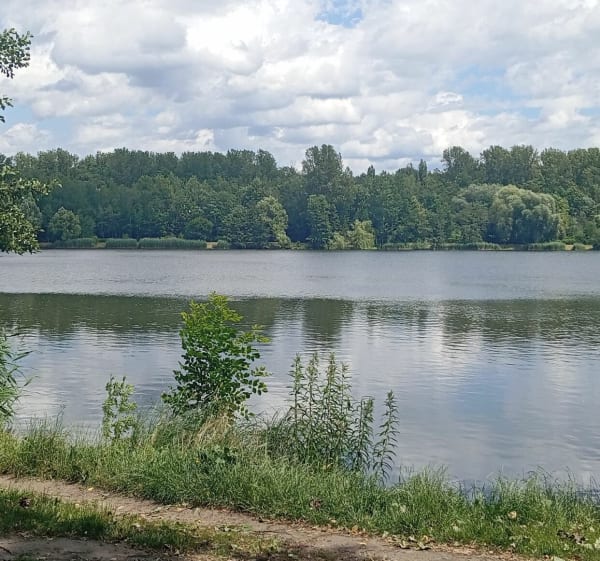 Rower - Mariusz - 1