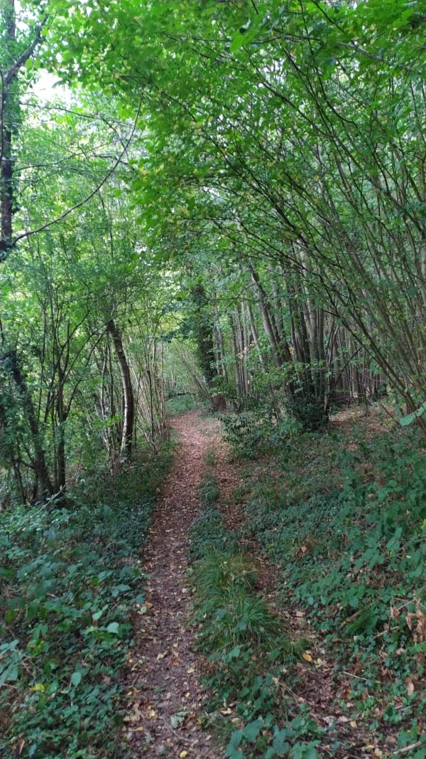 Randonnée VTT à Serquigny - Romi - 1