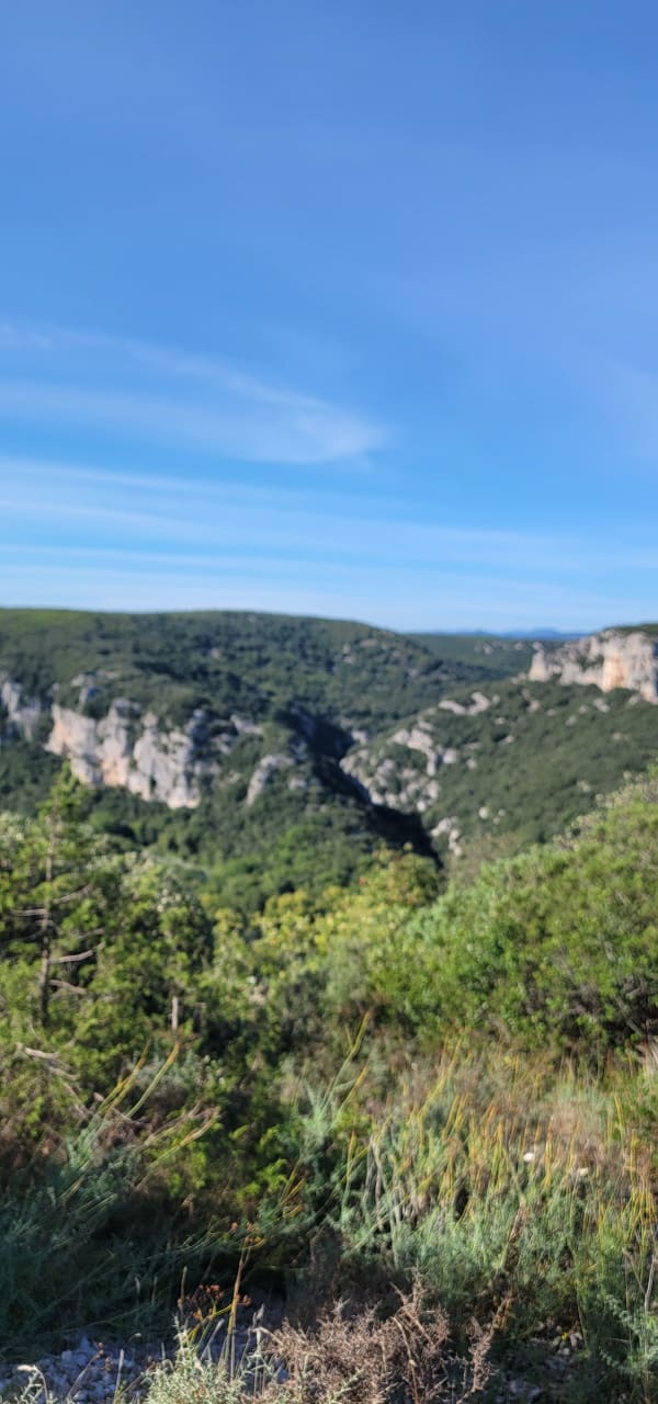 Voyage dans les grottes et gouffres de Vallon-Pont-d'Arc - Serge - 1