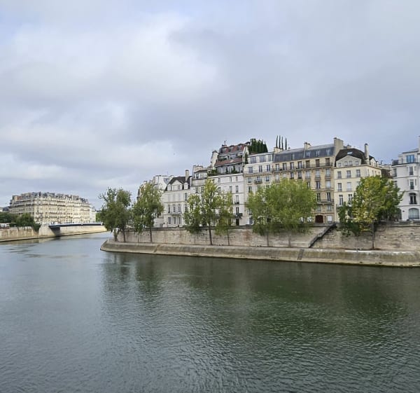 Bords de Seine depuis Issy-les-Moulineaux - Murielle fabrice guillaume - 1