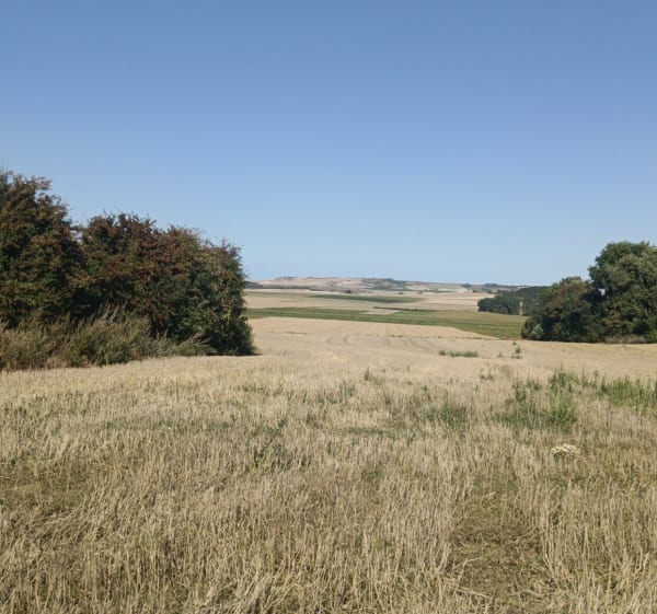 Wissant par la campagne - Séverine - 1