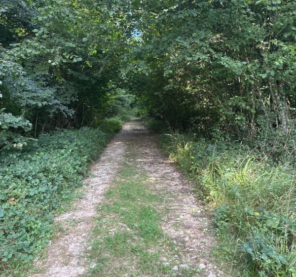 Boucle dans la vallée du Morin au départ de Villeneuve le Co - Arnaud  - 1