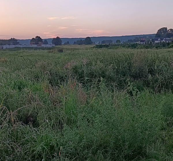 Popołudniowa przejażdżka - Krystyna - 1