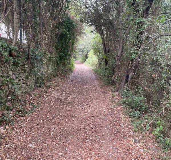 Boucle Pignan - Murviel-lès-Montpellier - Bruno - 1