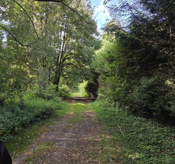 Randonnée VTT au départ de Hancourt - Laurine - 1