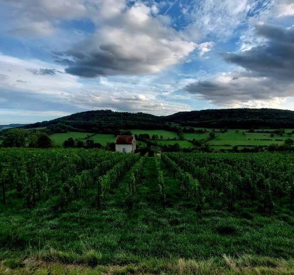 Village de Flavigny, camp de César et lavoirs - Darcey - 1